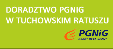 Doradztwo PGNiG