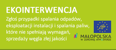 Ekointerwencja